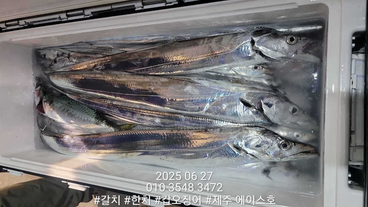 4eea61e68b76dba7317116cd9309b3ab_1750995332_2344.jpg 4eea61e68b76dba7317116cd9309b3ab_1750995332_2344.jpg
