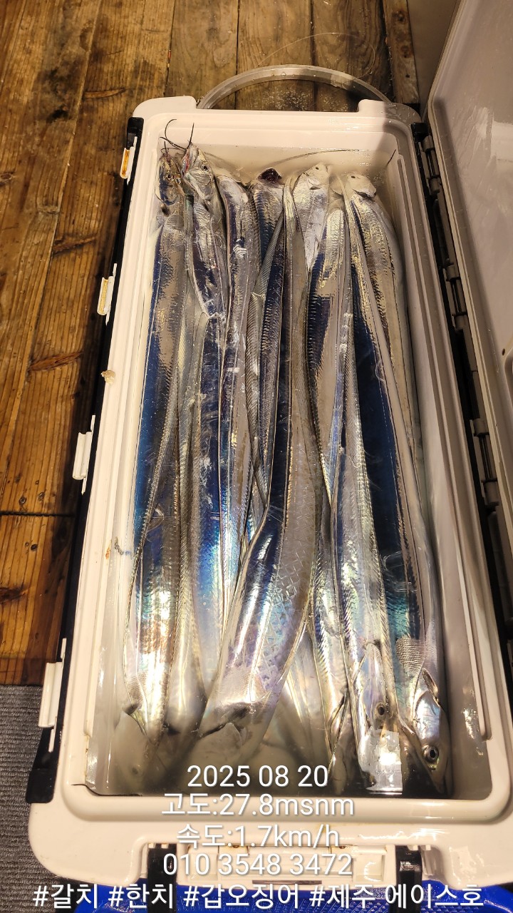 cecca1e9b37fd55491de3d9e5dccdaec_1755666398_3898.jpg