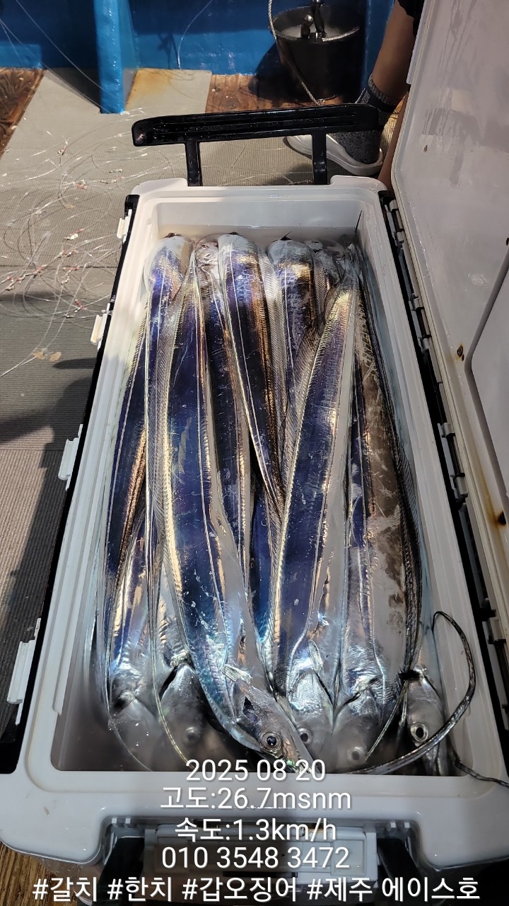 cecca1e9b37fd55491de3d9e5dccdaec_1755666398_7985.jpg