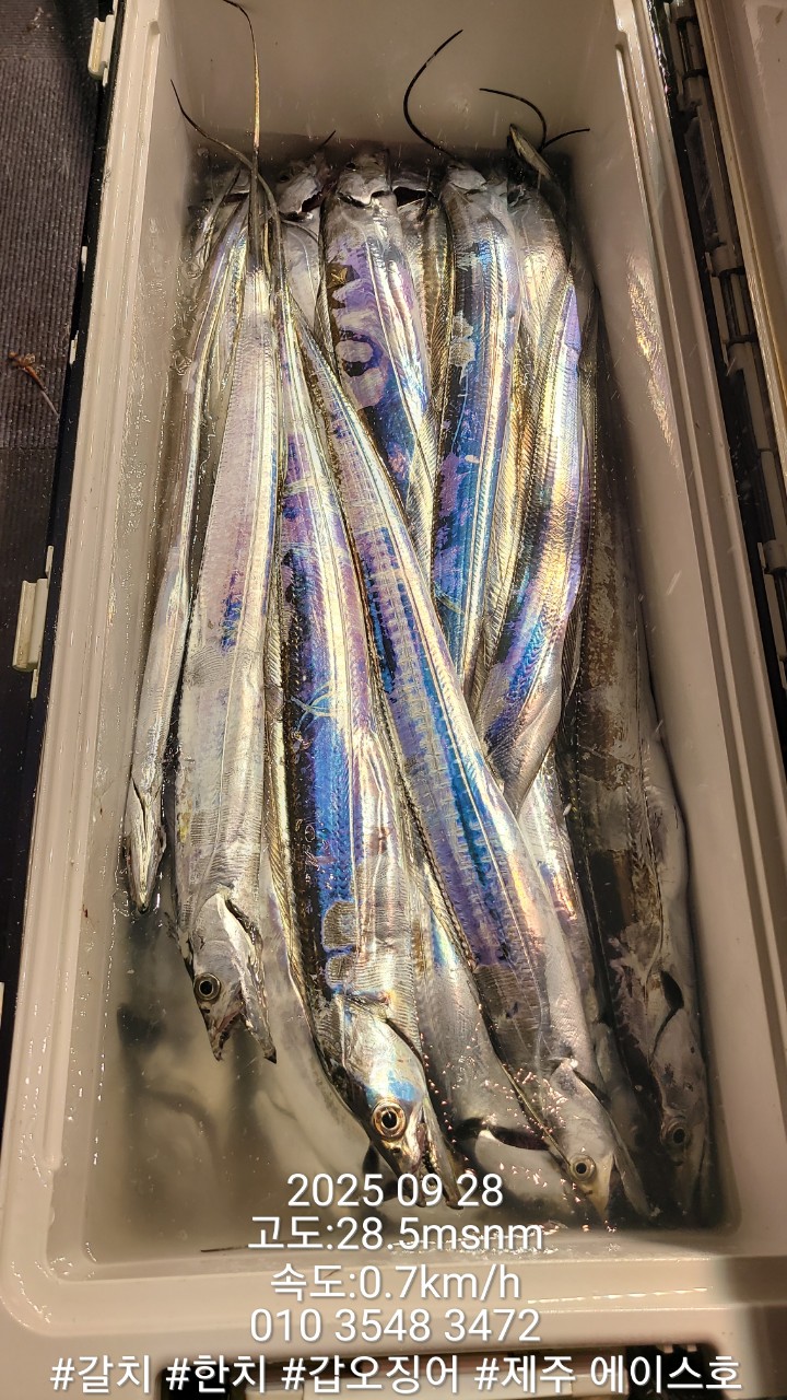4ca30cb500743c697e0eabf204bf4d69_1759036402_4775.jpg