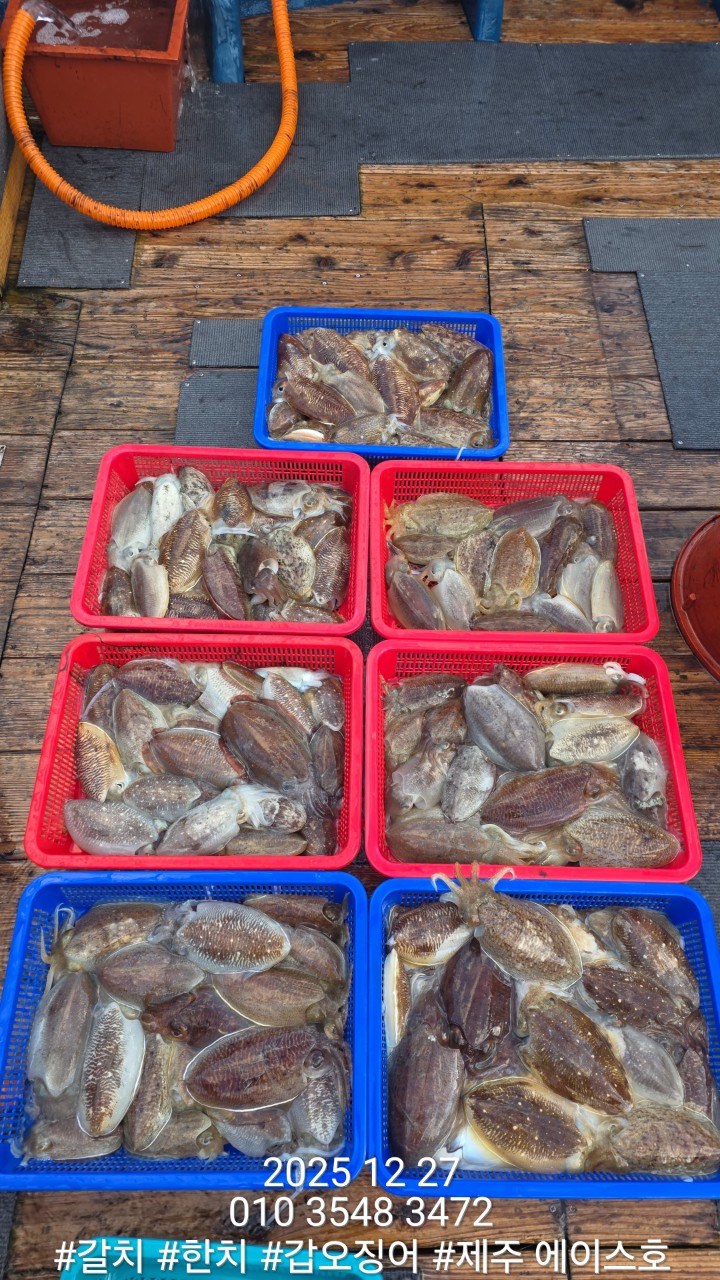 741c7d3b0027aa4018f8de101a597afa_1766904186_6739.jpg 741c7d3b0027aa4018f8de101a597afa_1766904186_6739.jpg