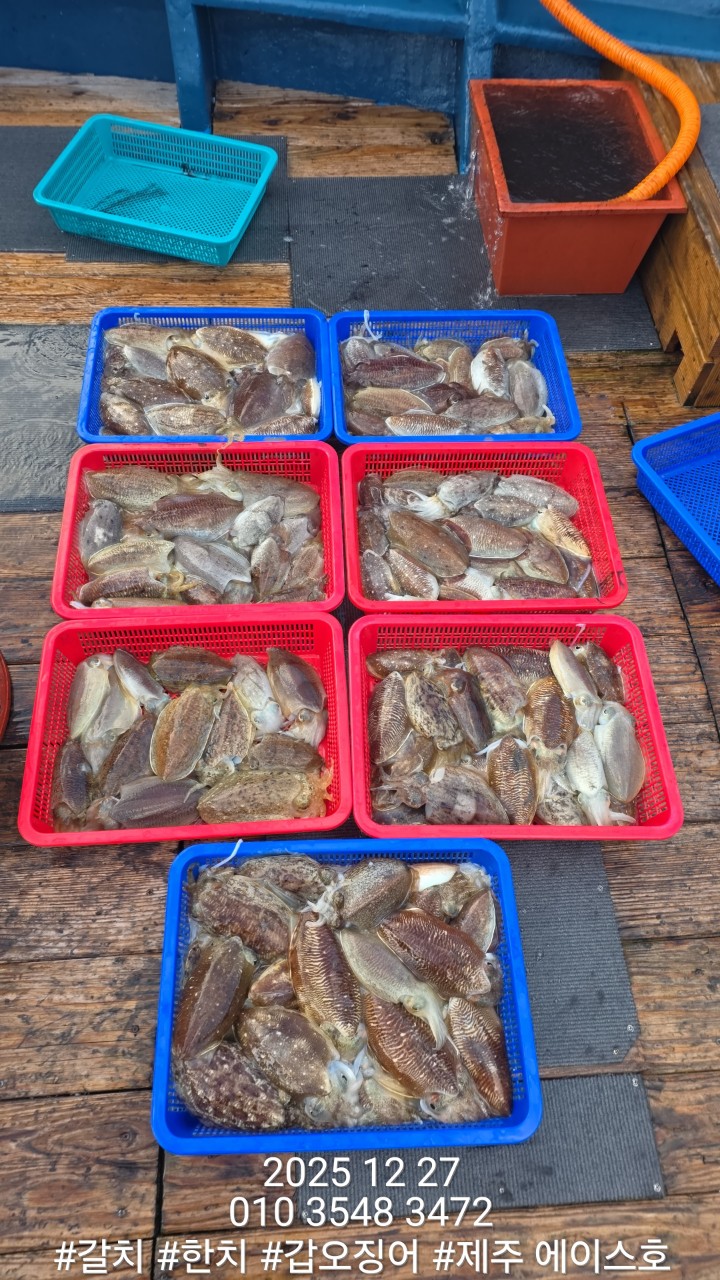 741c7d3b0027aa4018f8de101a597afa_1766904186_8411.jpg 741c7d3b0027aa4018f8de101a597afa_1766904186_8411.jpg