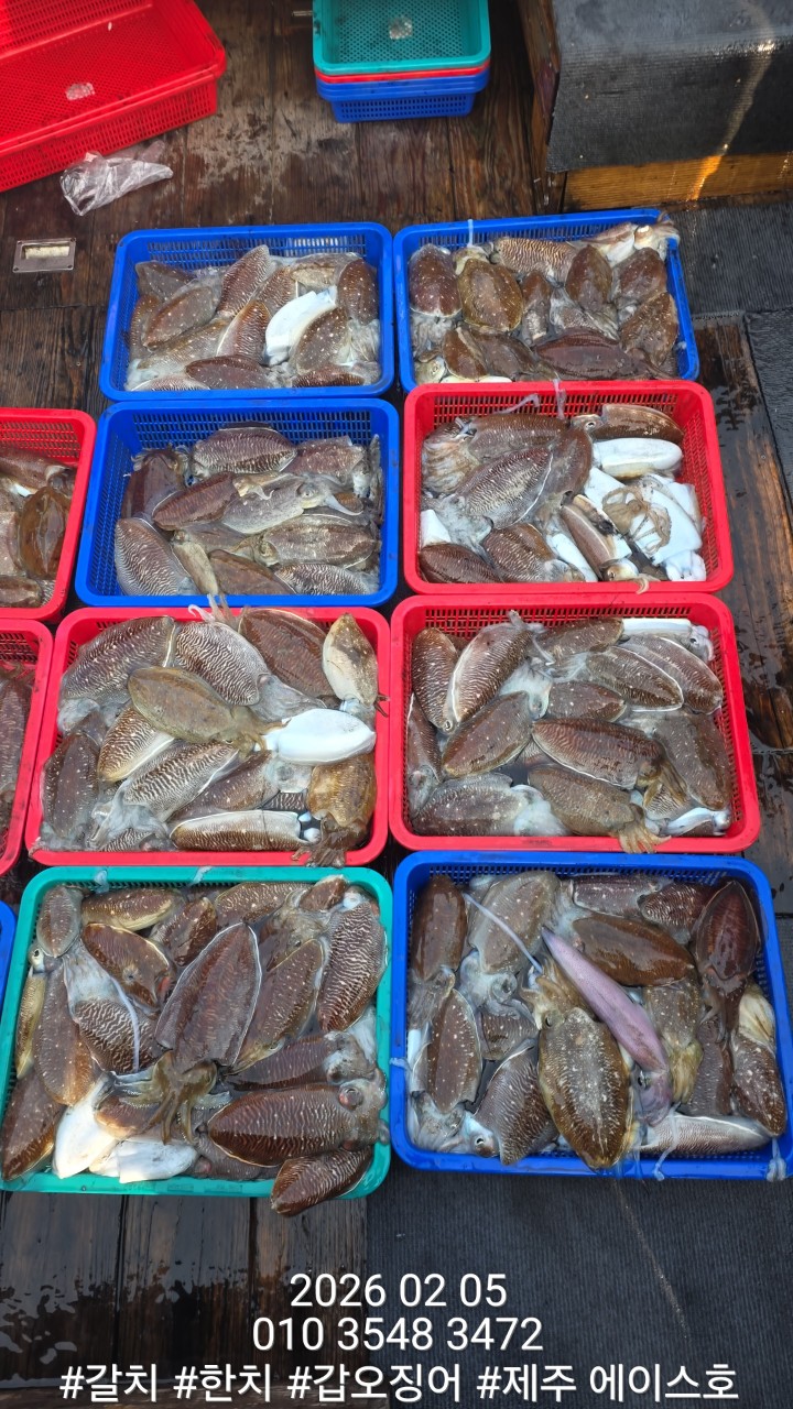 3827bfc21c7f4e5c4f54b7af12deaf12_1770357678_6632.jpg 3827bfc21c7f4e5c4f54b7af12deaf12_1770357678_6632.jpg