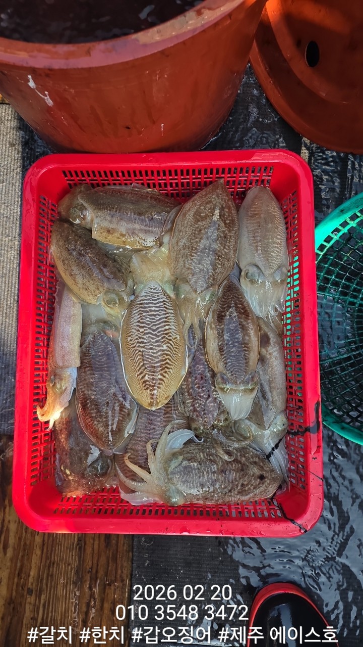 7d1af0f6c38b2b3f08e8cc8966cd3c1d_1771645131_2052.jpg 7d1af0f6c38b2b3f08e8cc8966cd3c1d_1771645131_2052.jpg