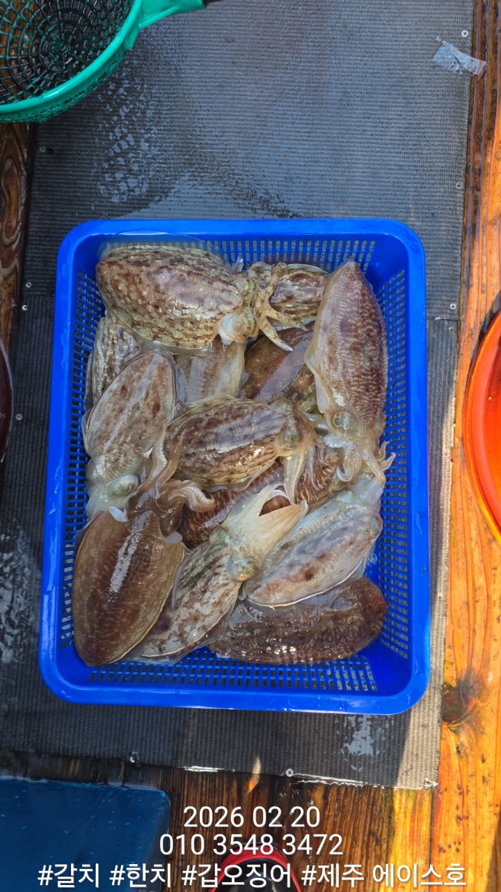 7d1af0f6c38b2b3f08e8cc8966cd3c1d_1771645131_6013.jpg 7d1af0f6c38b2b3f08e8cc8966cd3c1d_1771645131_6013.jpg