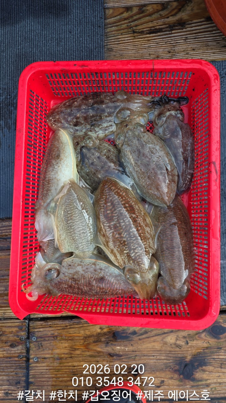 7d1af0f6c38b2b3f08e8cc8966cd3c1d_1771645131_6828.jpg 7d1af0f6c38b2b3f08e8cc8966cd3c1d_1771645131_6828.jpg