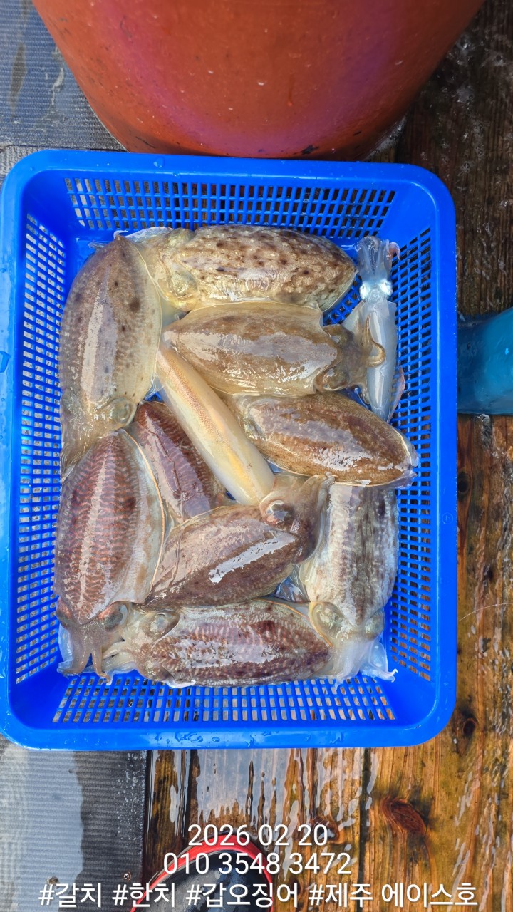 7d1af0f6c38b2b3f08e8cc8966cd3c1d_1771645131_7571.jpg 7d1af0f6c38b2b3f08e8cc8966cd3c1d_1771645131_7571.jpg