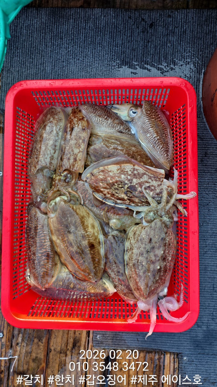 7d1af0f6c38b2b3f08e8cc8966cd3c1d_1771645131_8625.jpg 7d1af0f6c38b2b3f08e8cc8966cd3c1d_1771645131_8625.jpg