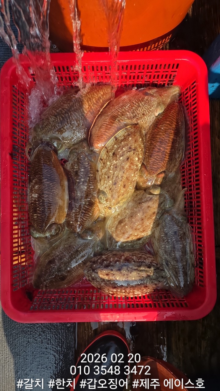 7d1af0f6c38b2b3f08e8cc8966cd3c1d_1771645131_9797.jpg 7d1af0f6c38b2b3f08e8cc8966cd3c1d_1771645131_9797.jpg