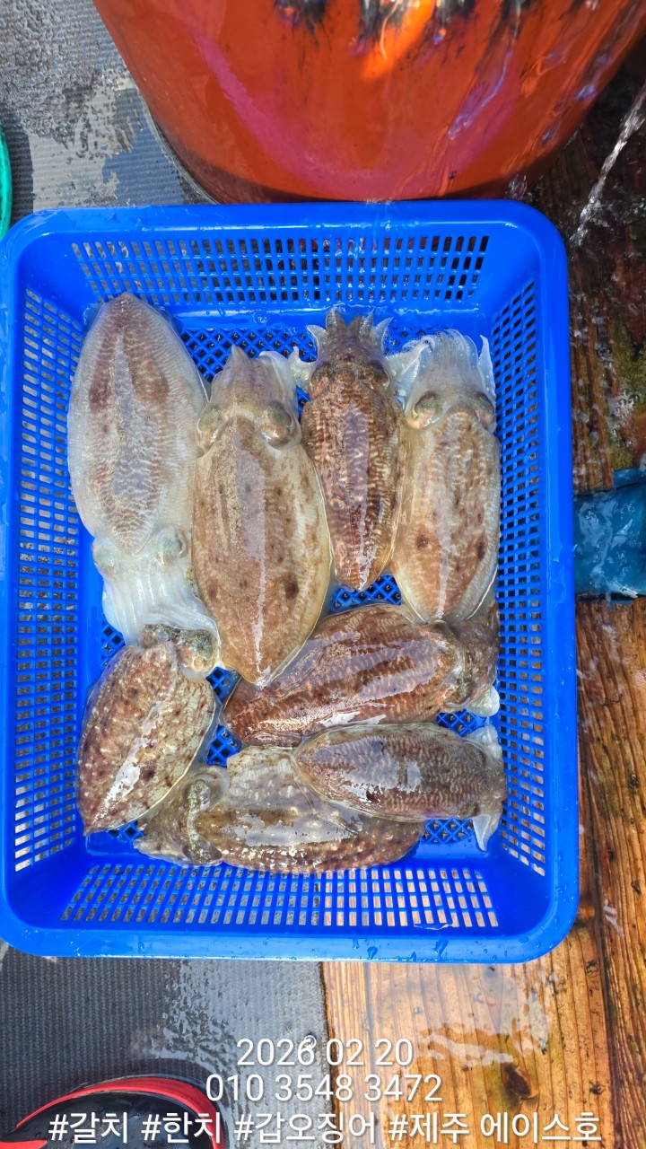 7d1af0f6c38b2b3f08e8cc8966cd3c1d_1771645132_0718.jpg 7d1af0f6c38b2b3f08e8cc8966cd3c1d_1771645132_0718.jpg