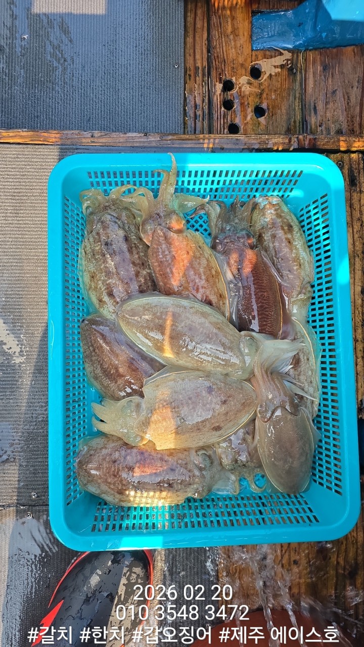 7d1af0f6c38b2b3f08e8cc8966cd3c1d_1771645136_1961.jpg 7d1af0f6c38b2b3f08e8cc8966cd3c1d_1771645136_1961.jpg