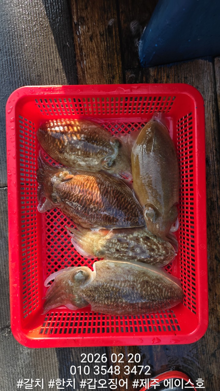 7d1af0f6c38b2b3f08e8cc8966cd3c1d_1771645136_2869.jpg 7d1af0f6c38b2b3f08e8cc8966cd3c1d_1771645136_2869.jpg