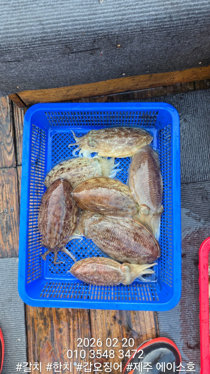 7d1af0f6c38b2b3f08e8cc8966cd3c1d_1771645136_5937.jpg 7d1af0f6c38b2b3f08e8cc8966cd3c1d_1771645136_5937.jpg