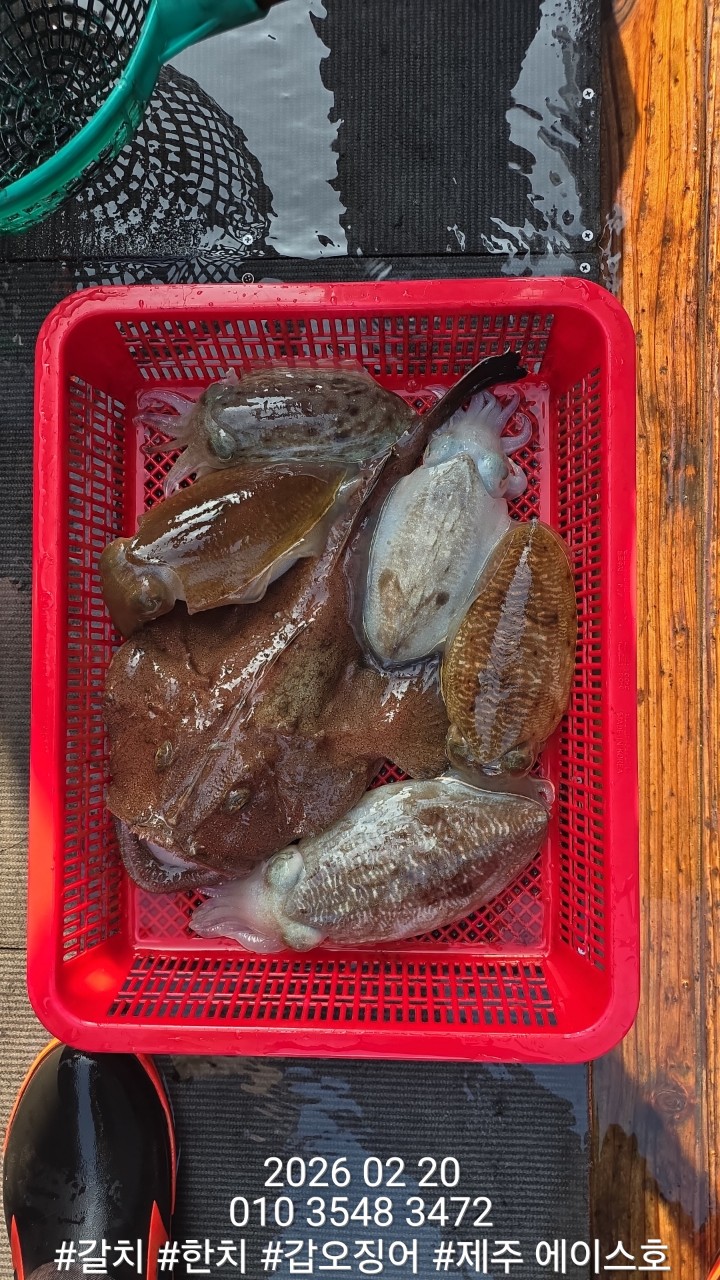 7d1af0f6c38b2b3f08e8cc8966cd3c1d_1771645136_6804.jpg 7d1af0f6c38b2b3f08e8cc8966cd3c1d_1771645136_6804.jpg