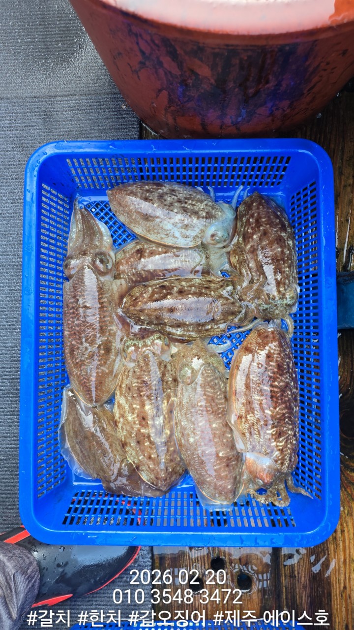 7d1af0f6c38b2b3f08e8cc8966cd3c1d_1771645136_7787.jpg 7d1af0f6c38b2b3f08e8cc8966cd3c1d_1771645136_7787.jpg