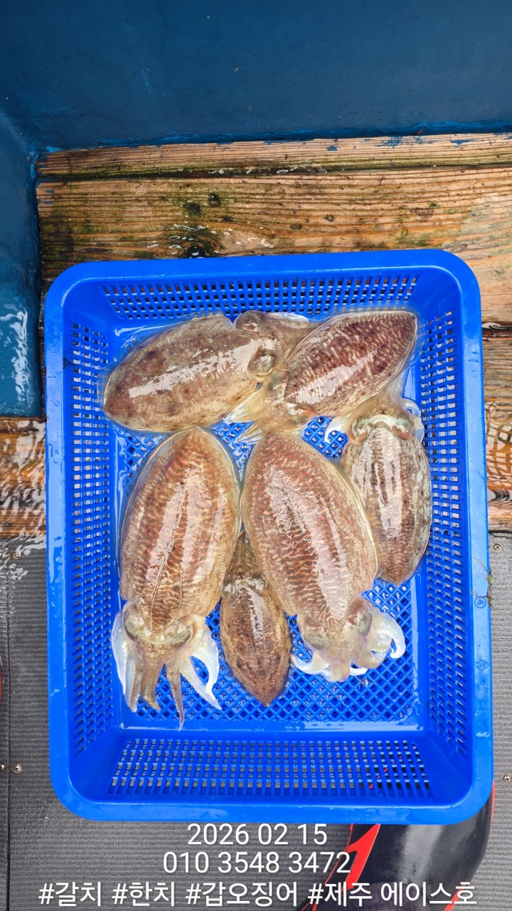 ae502157f1218fc88e5426040f4fc63d_1771210127_4164.jpg ae502157f1218fc88e5426040f4fc63d_1771210127_4164.jpg