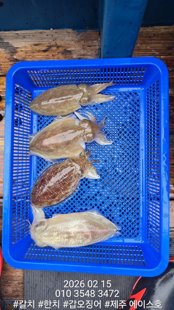 ae502157f1218fc88e5426040f4fc63d_1771210127_6169.jpg ae502157f1218fc88e5426040f4fc63d_1771210127_6169.jpg