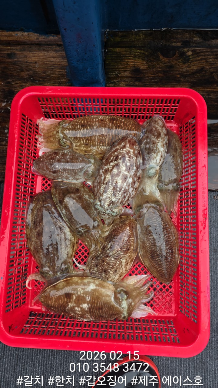 ae502157f1218fc88e5426040f4fc63d_1771210127_7311.jpg ae502157f1218fc88e5426040f4fc63d_1771210127_7311.jpg