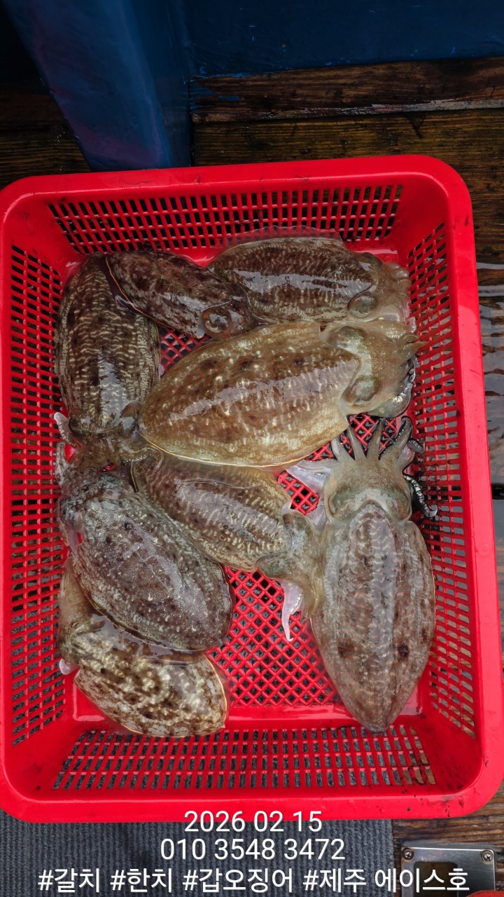 ae502157f1218fc88e5426040f4fc63d_1771210127_9809.jpg ae502157f1218fc88e5426040f4fc63d_1771210127_9809.jpg