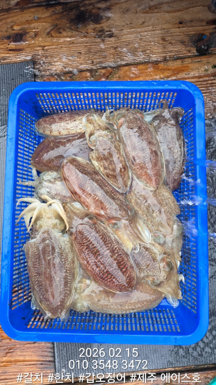 ae502157f1218fc88e5426040f4fc63d_1771210128_2754.jpg ae502157f1218fc88e5426040f4fc63d_1771210128_2754.jpg