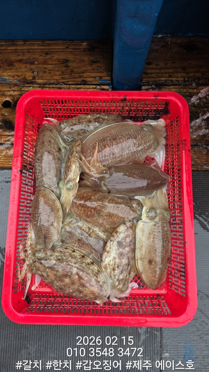 ae502157f1218fc88e5426040f4fc63d_1771210128_3783.jpg ae502157f1218fc88e5426040f4fc63d_1771210128_3783.jpg