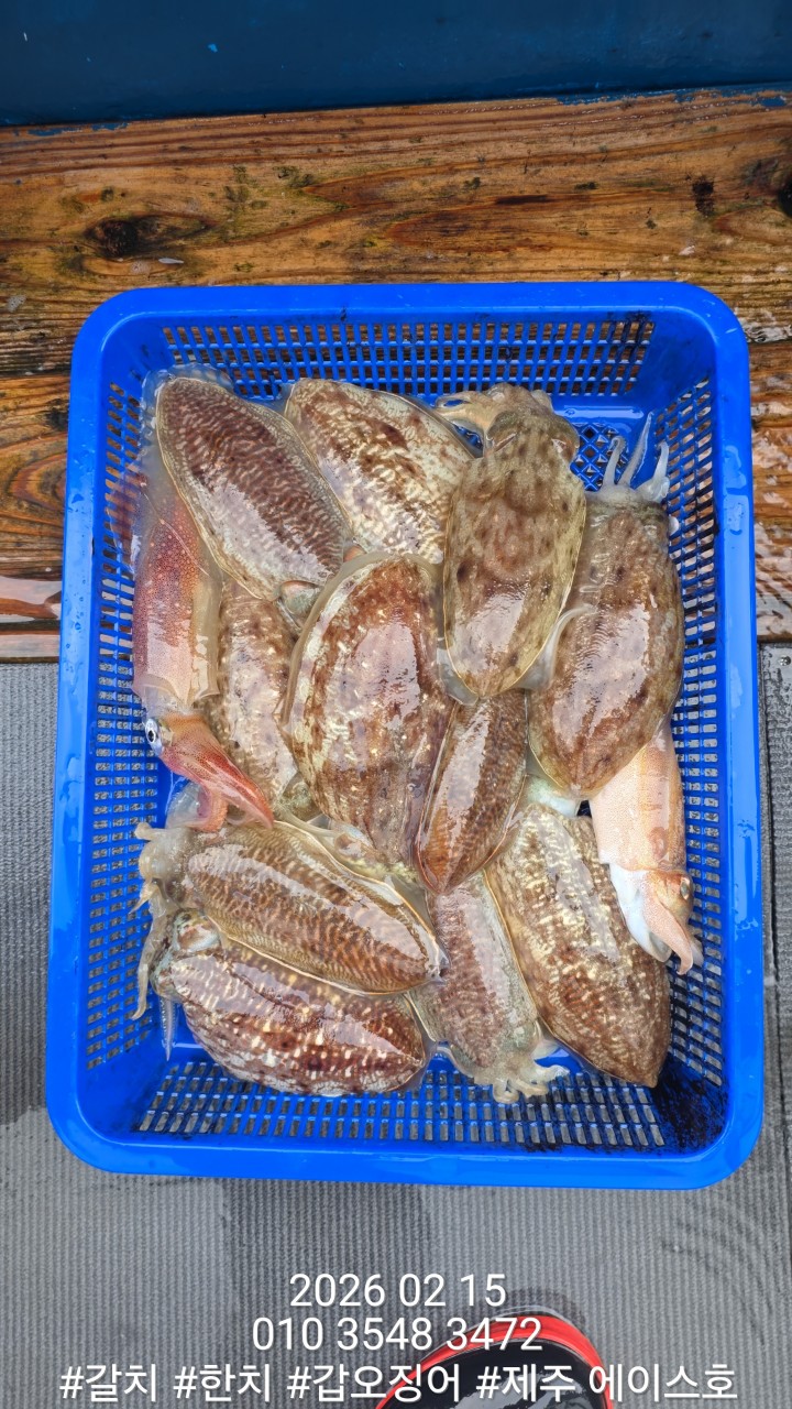 ae502157f1218fc88e5426040f4fc63d_1771210136_6714.jpg ae502157f1218fc88e5426040f4fc63d_1771210136_6714.jpg