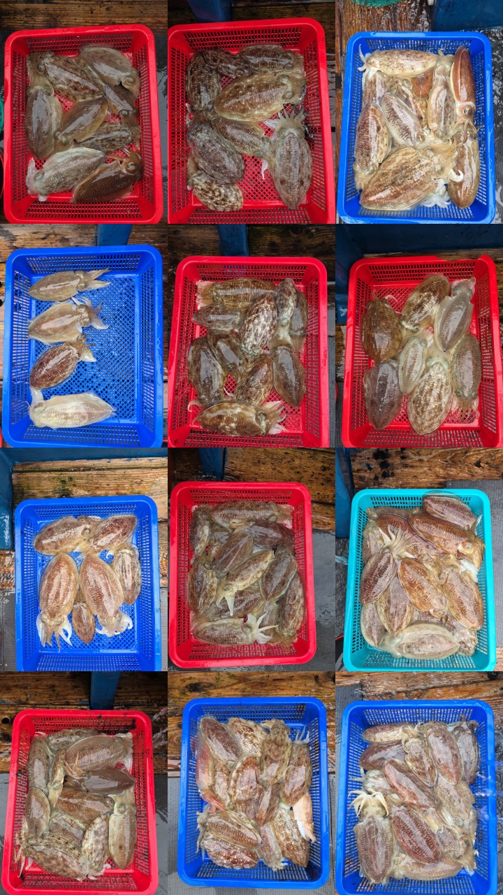 ae502157f1218fc88e5426040f4fc63d_1771210136_8251.jpg ae502157f1218fc88e5426040f4fc63d_1771210136_8251.jpg