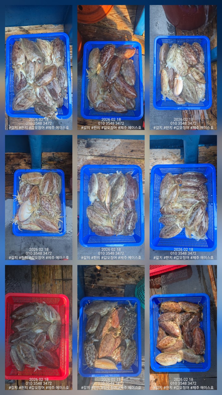 c558afdc40e58722f66084d83d05ee8f_1771460614_0907.jpg c558afdc40e58722f66084d83d05ee8f_1771460614_0907.jpg