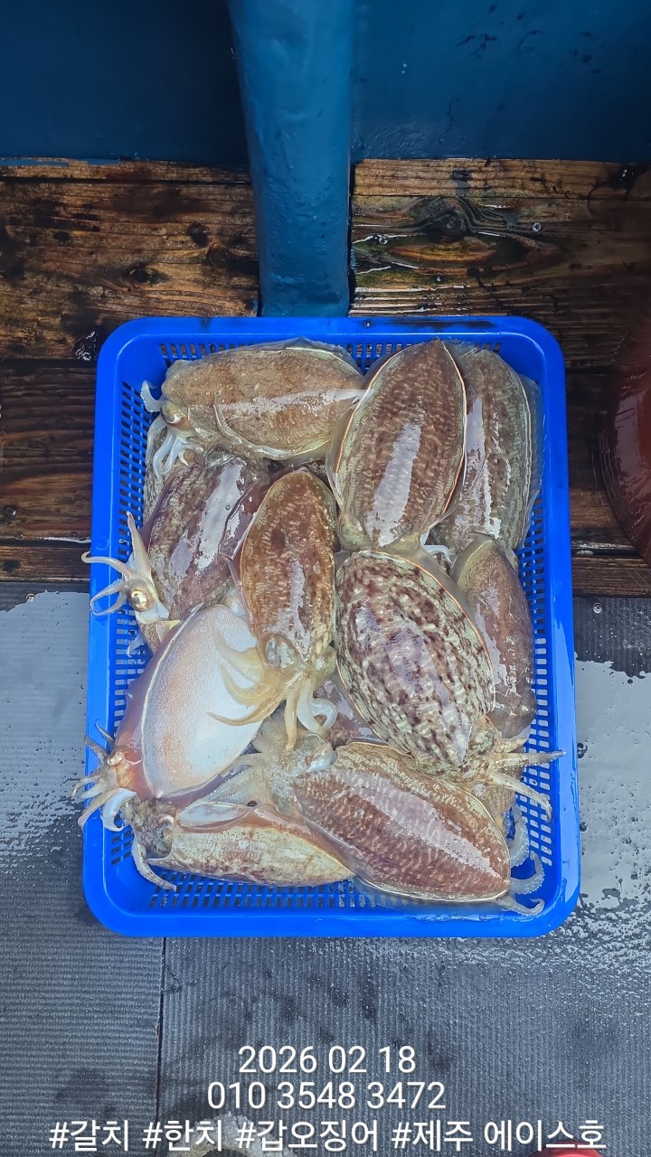 c558afdc40e58722f66084d83d05ee8f_1771460614_1778.jpg c558afdc40e58722f66084d83d05ee8f_1771460614_1778.jpg