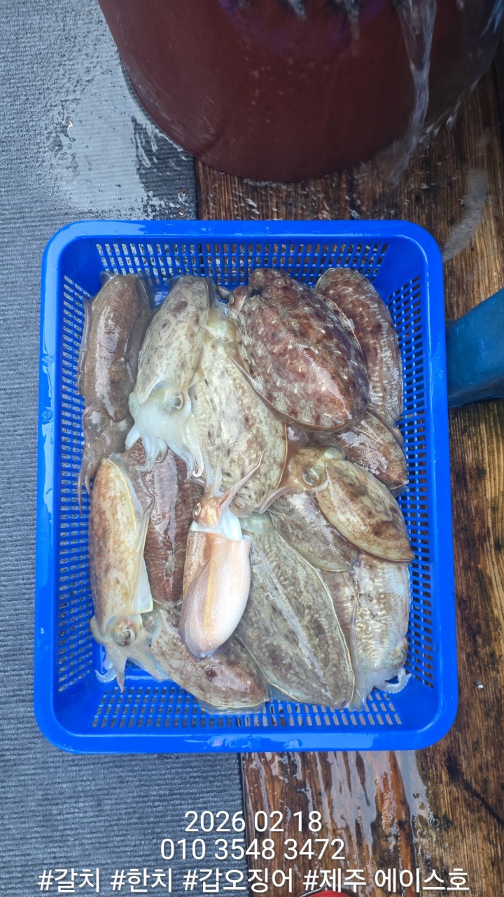 c558afdc40e58722f66084d83d05ee8f_1771460614_2485.jpg c558afdc40e58722f66084d83d05ee8f_1771460614_2485.jpg