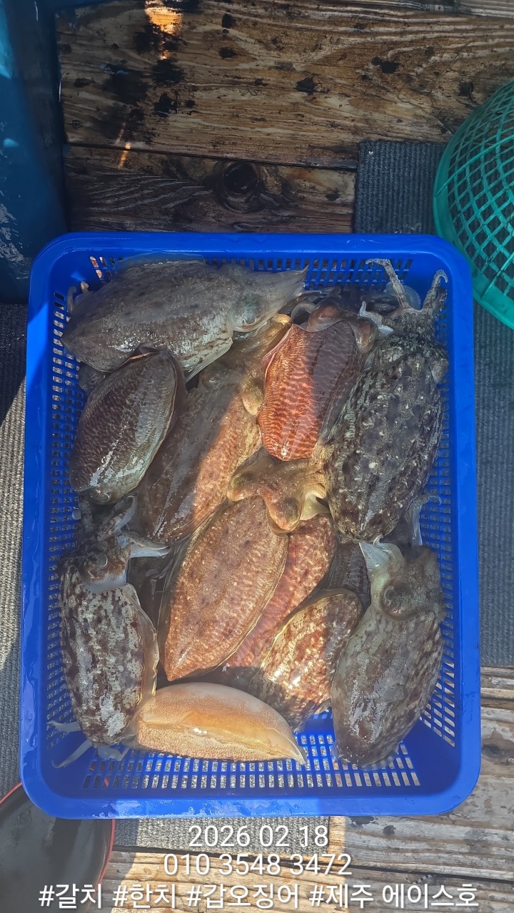 c558afdc40e58722f66084d83d05ee8f_1771460614_3963.jpg c558afdc40e58722f66084d83d05ee8f_1771460614_3963.jpg