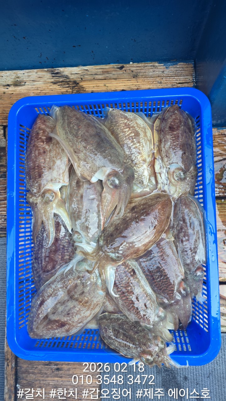 c558afdc40e58722f66084d83d05ee8f_1771460614_565.jpg c558afdc40e58722f66084d83d05ee8f_1771460614_565.jpg