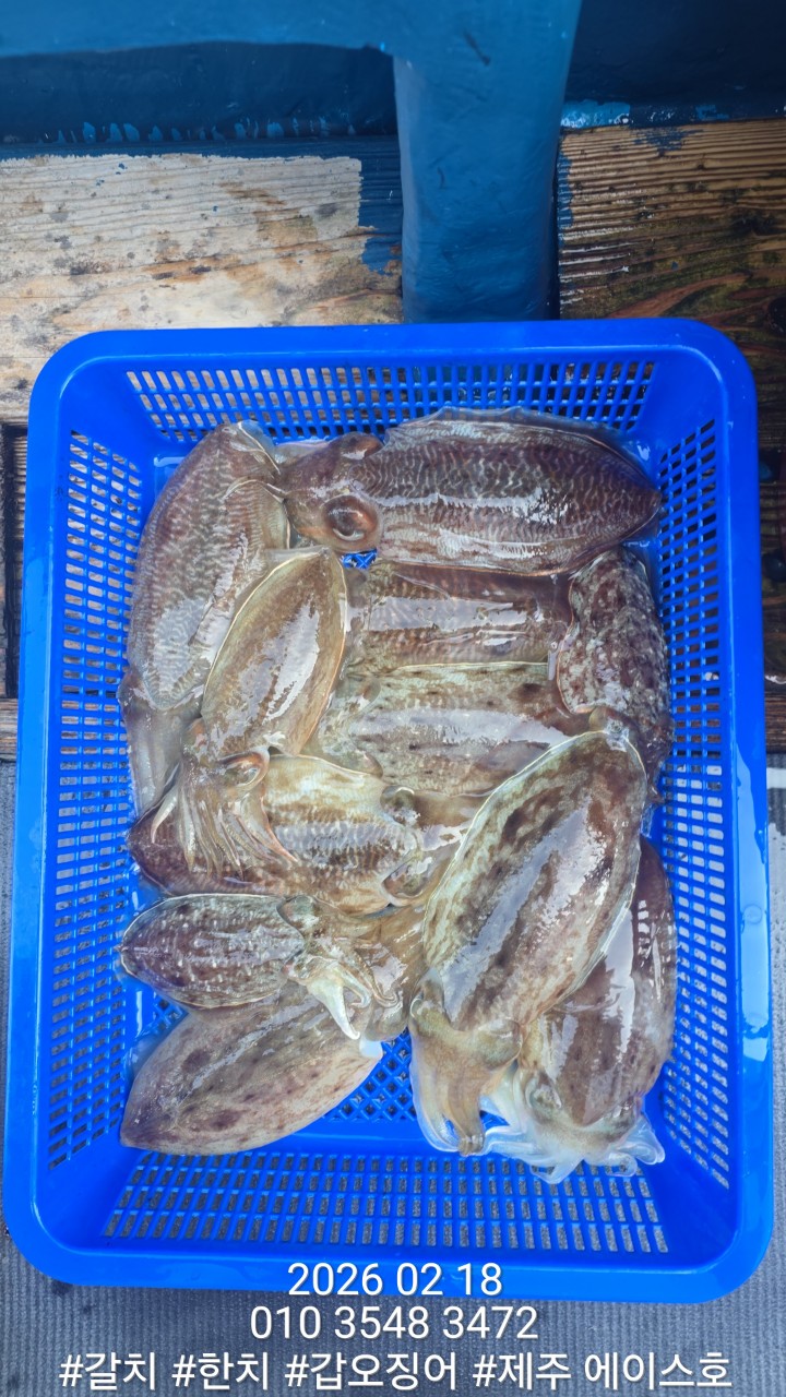 c558afdc40e58722f66084d83d05ee8f_1771460614_8928.jpg c558afdc40e58722f66084d83d05ee8f_1771460614_8928.jpg