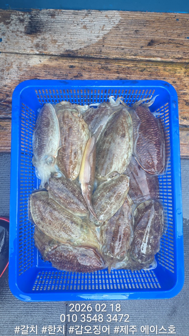 c558afdc40e58722f66084d83d05ee8f_1771460614_9897.jpg c558afdc40e58722f66084d83d05ee8f_1771460614_9897.jpg