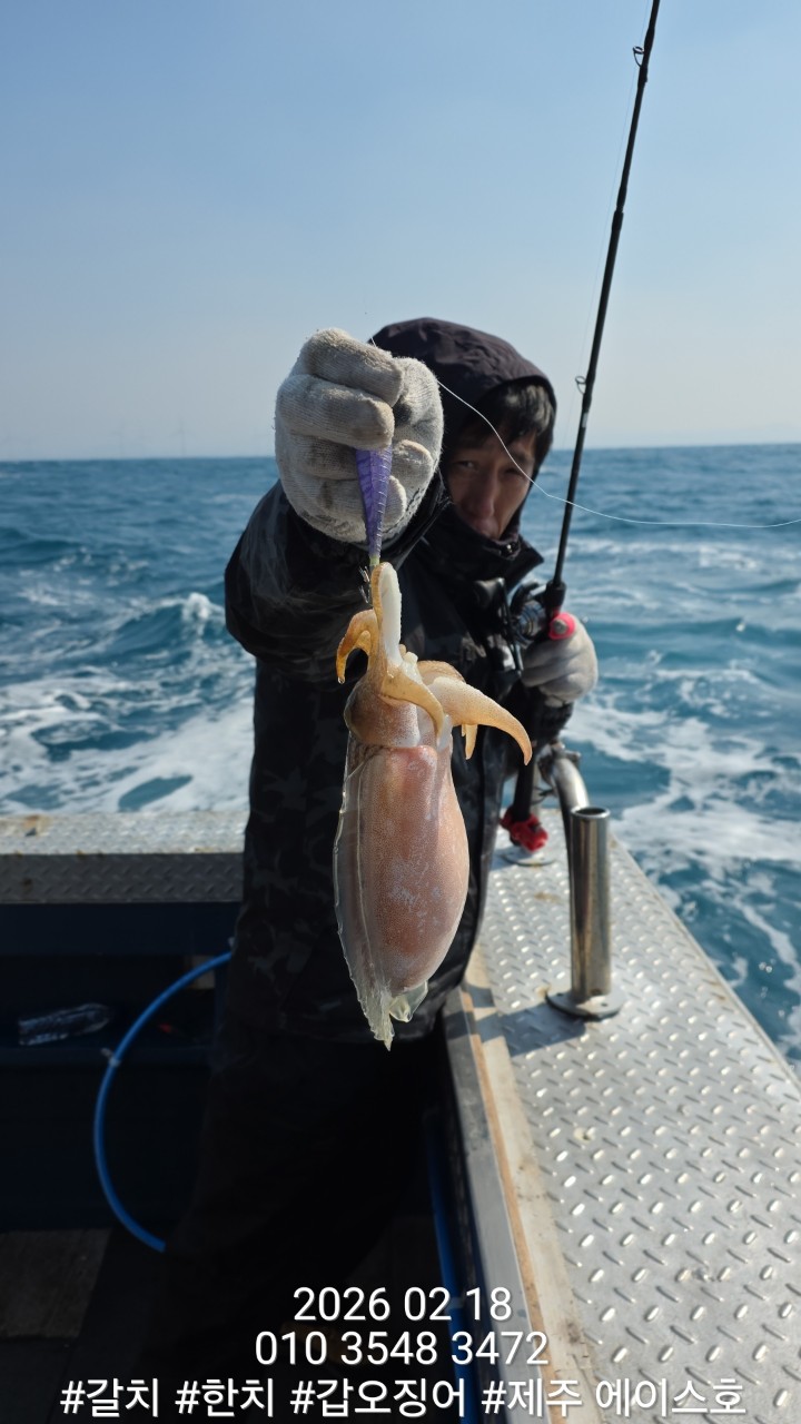 c558afdc40e58722f66084d83d05ee8f_1771460619_7226.jpg c558afdc40e58722f66084d83d05ee8f_1771460619_7226.jpg