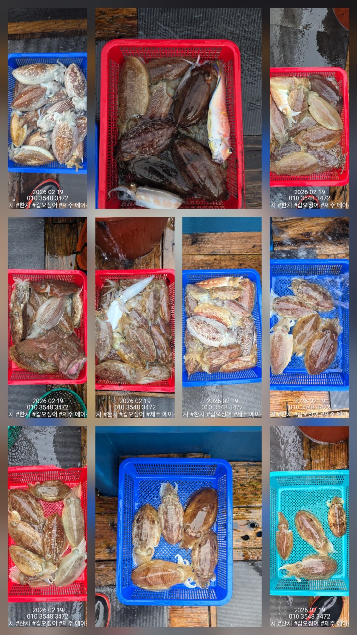 e167c84a8babf6ff0a85ce03e6627b0e_1771548589_046.jpg e167c84a8babf6ff0a85ce03e6627b0e_1771548589_046.jpg