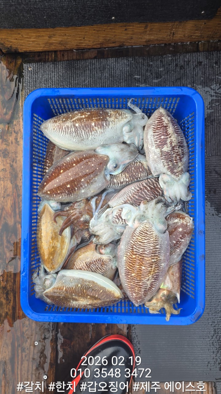 e167c84a8babf6ff0a85ce03e6627b0e_1771548589_1318.jpg e167c84a8babf6ff0a85ce03e6627b0e_1771548589_1318.jpg