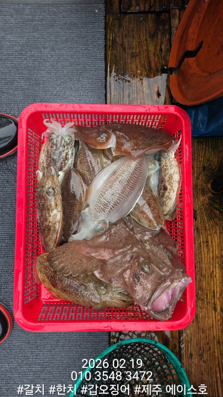 e167c84a8babf6ff0a85ce03e6627b0e_1771548589_3213.jpg e167c84a8babf6ff0a85ce03e6627b0e_1771548589_3213.jpg