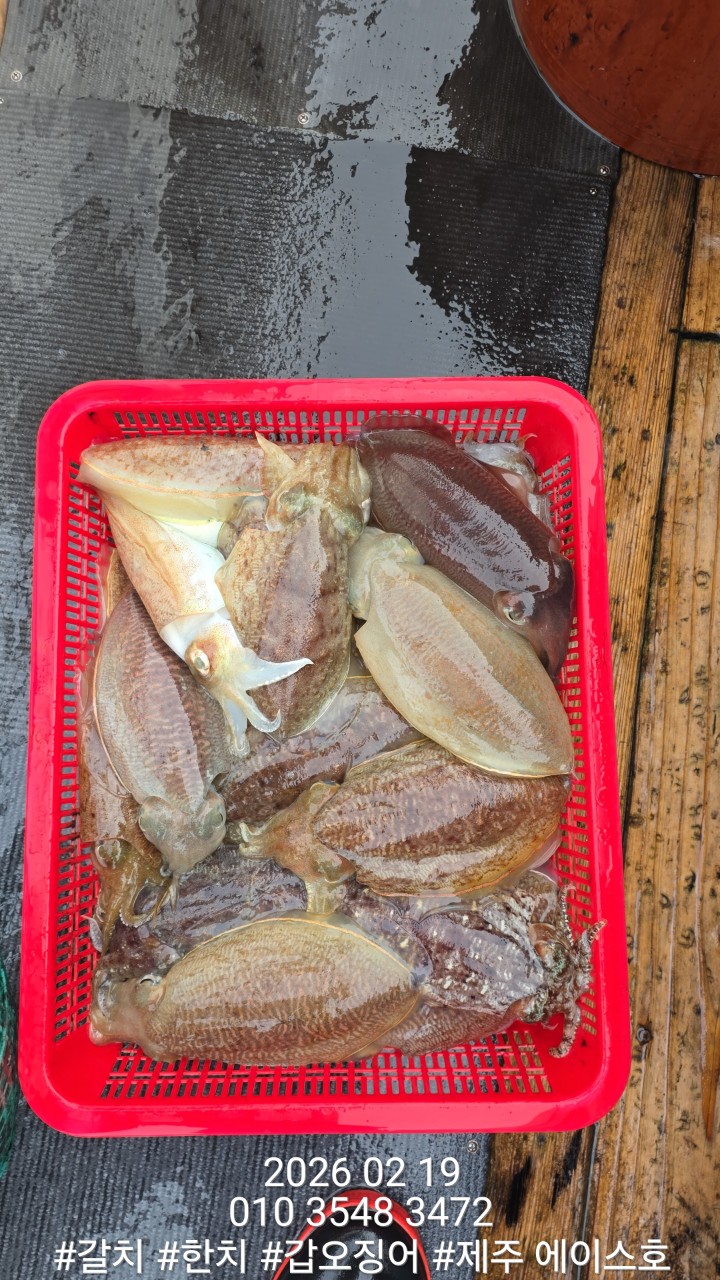 e167c84a8babf6ff0a85ce03e6627b0e_1771548589_4335.jpg e167c84a8babf6ff0a85ce03e6627b0e_1771548589_4335.jpg