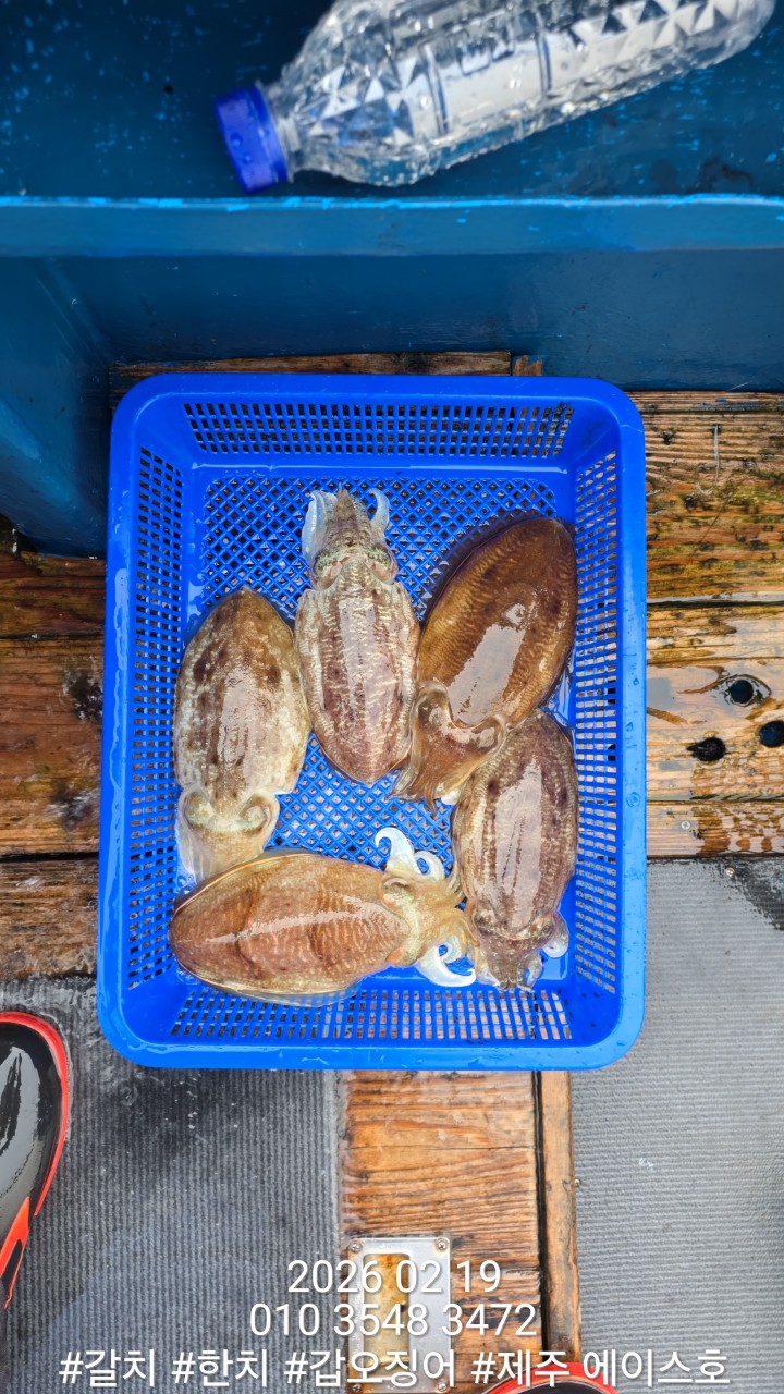 e167c84a8babf6ff0a85ce03e6627b0e_1771548589_7257.jpg e167c84a8babf6ff0a85ce03e6627b0e_1771548589_7257.jpg