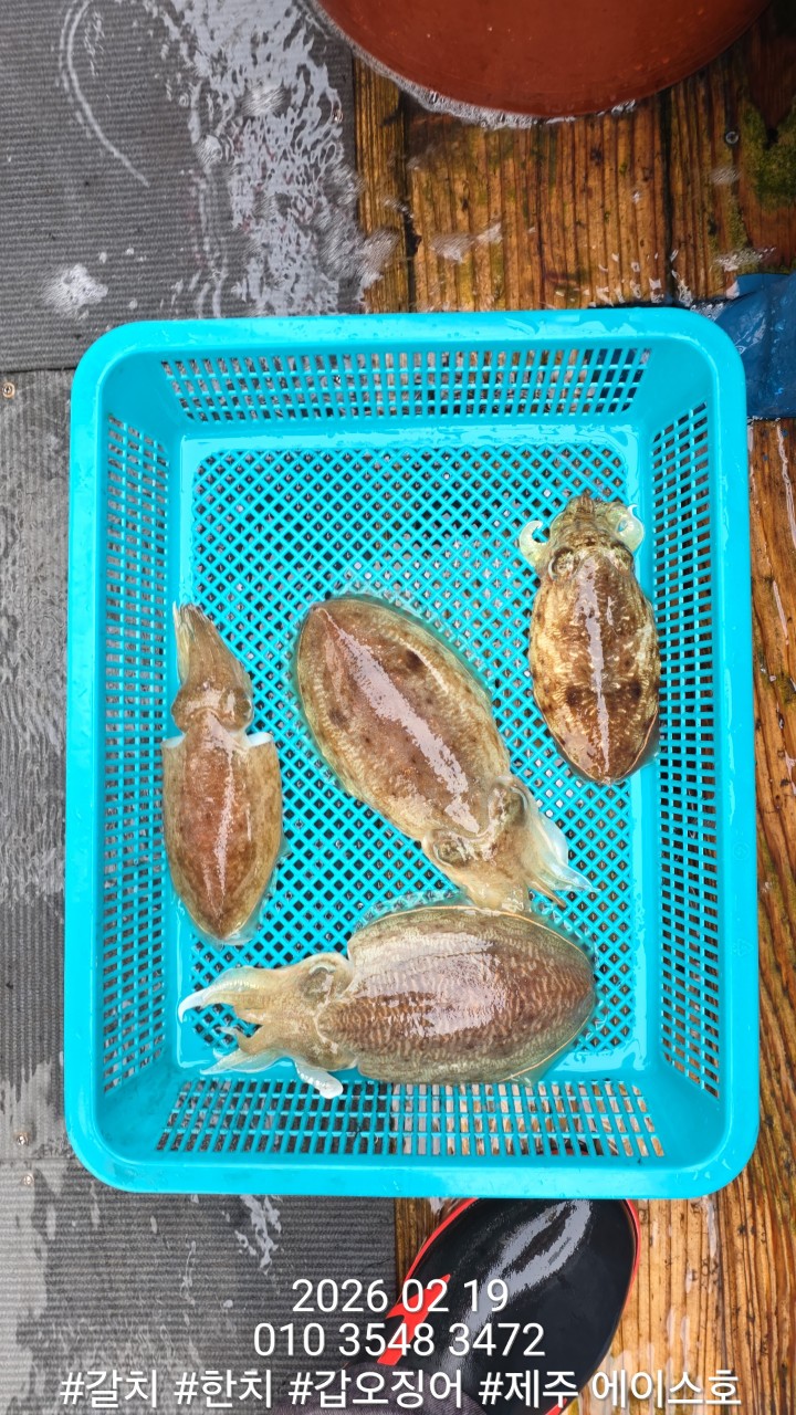 e167c84a8babf6ff0a85ce03e6627b0e_1771548589_9166.jpg e167c84a8babf6ff0a85ce03e6627b0e_1771548589_9166.jpg