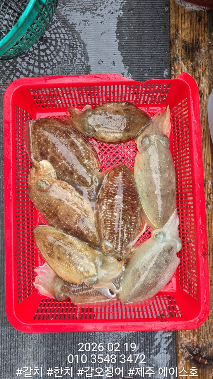 e167c84a8babf6ff0a85ce03e6627b0e_1771548590_0808.jpg e167c84a8babf6ff0a85ce03e6627b0e_1771548590_0808.jpg