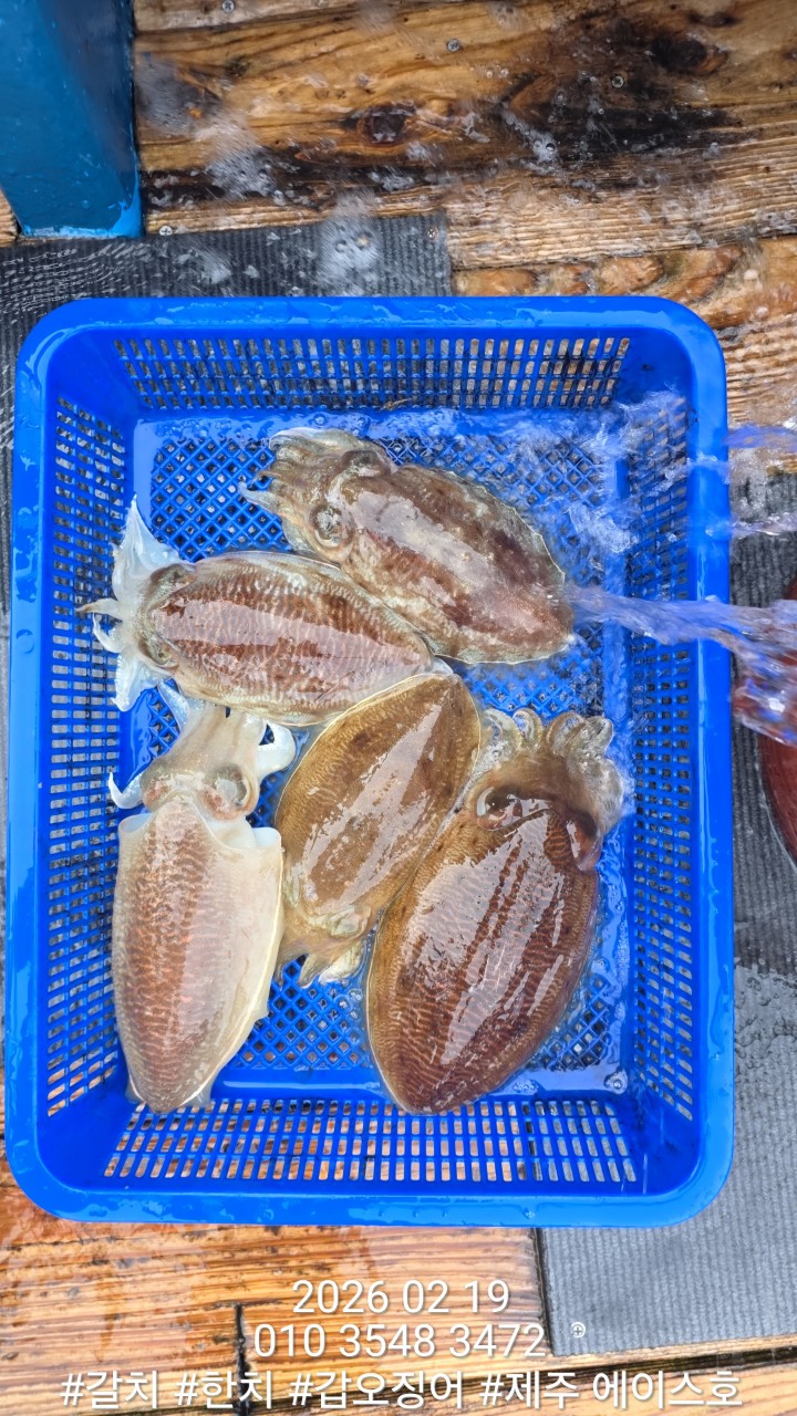 e167c84a8babf6ff0a85ce03e6627b0e_1771548590_1913.jpg e167c84a8babf6ff0a85ce03e6627b0e_1771548590_1913.jpg