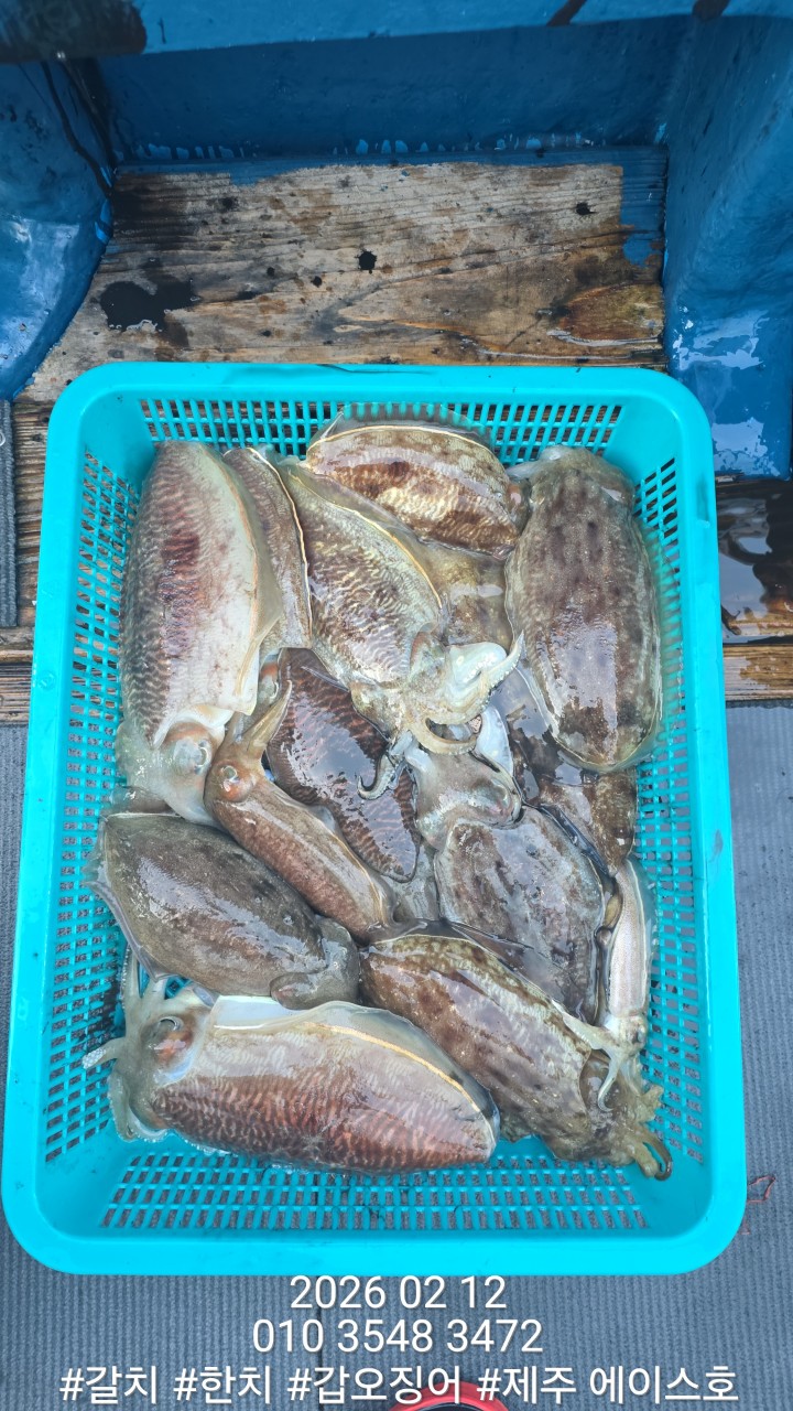 f9b282166b72f1749991c6679df50599_1770951517_8254.jpg f9b282166b72f1749991c6679df50599_1770951517_8254.jpg