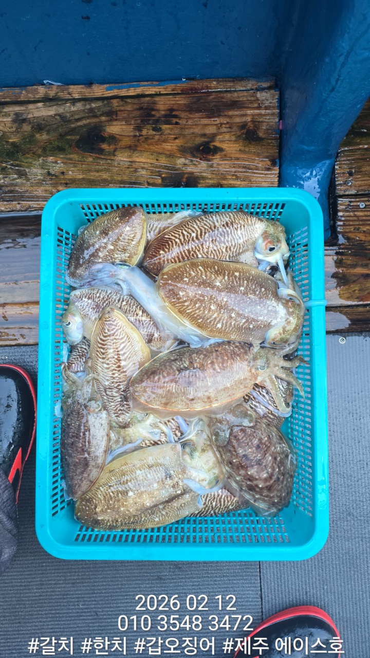 f9b282166b72f1749991c6679df50599_1770951518_0114.jpg f9b282166b72f1749991c6679df50599_1770951518_0114.jpg