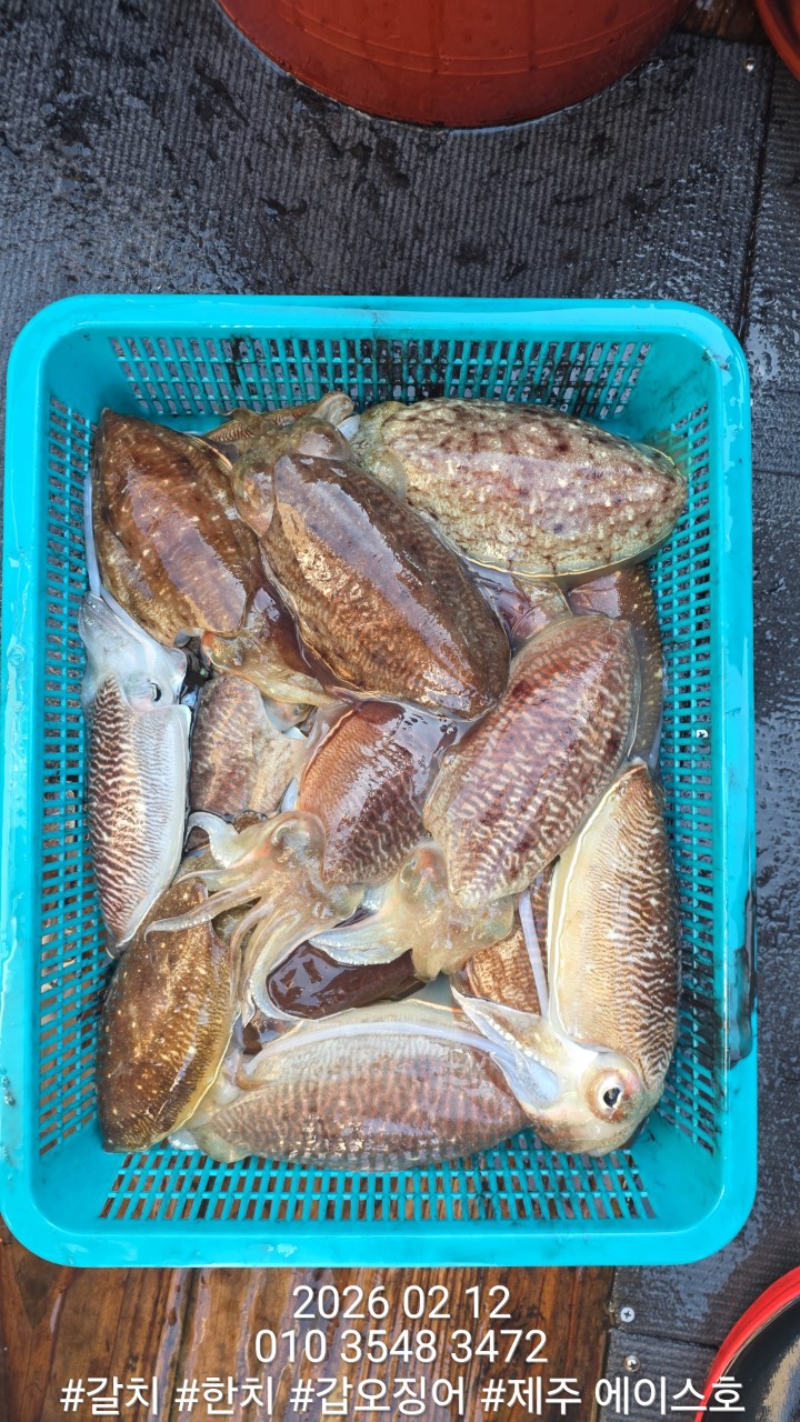 f9b282166b72f1749991c6679df50599_1770951518_0995.jpg f9b282166b72f1749991c6679df50599_1770951518_0995.jpg