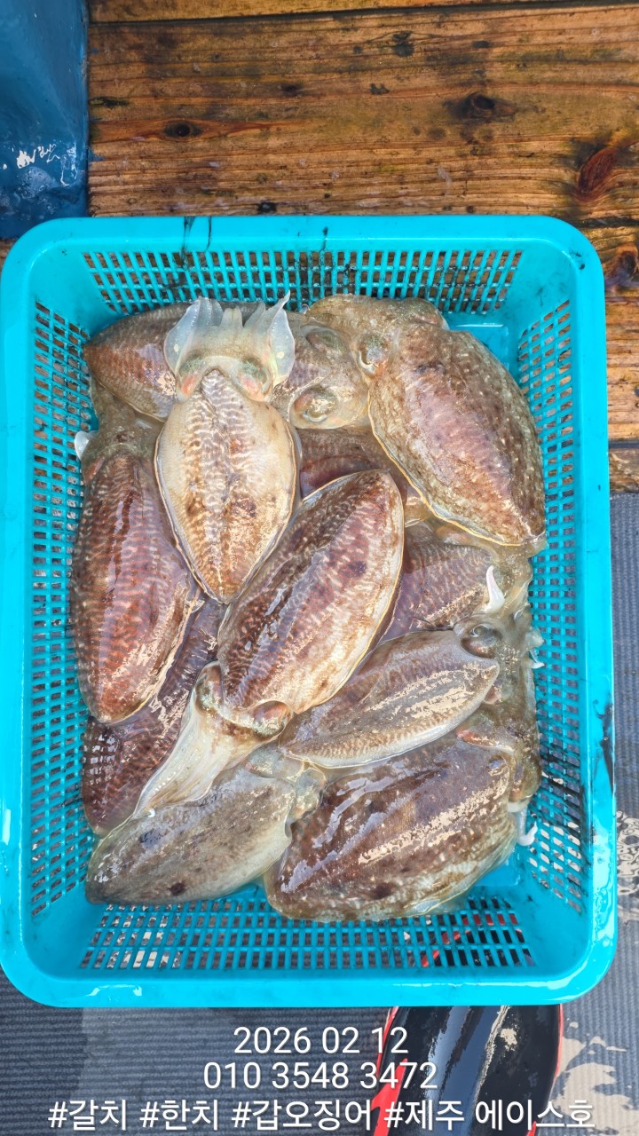 f9b282166b72f1749991c6679df50599_1770951518_203.jpg f9b282166b72f1749991c6679df50599_1770951518_203.jpg