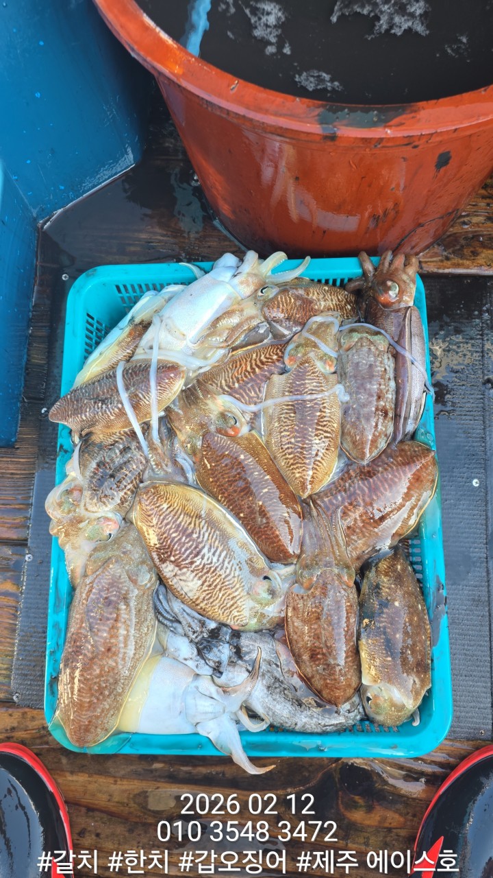 f9b282166b72f1749991c6679df50599_1770951518_306.jpg f9b282166b72f1749991c6679df50599_1770951518_306.jpg