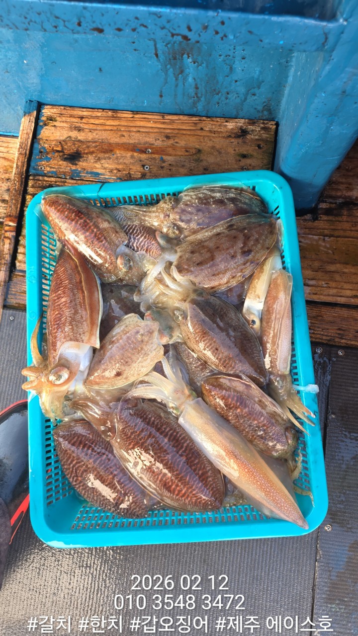 f9b282166b72f1749991c6679df50599_1770951518_4111.jpg f9b282166b72f1749991c6679df50599_1770951518_4111.jpg