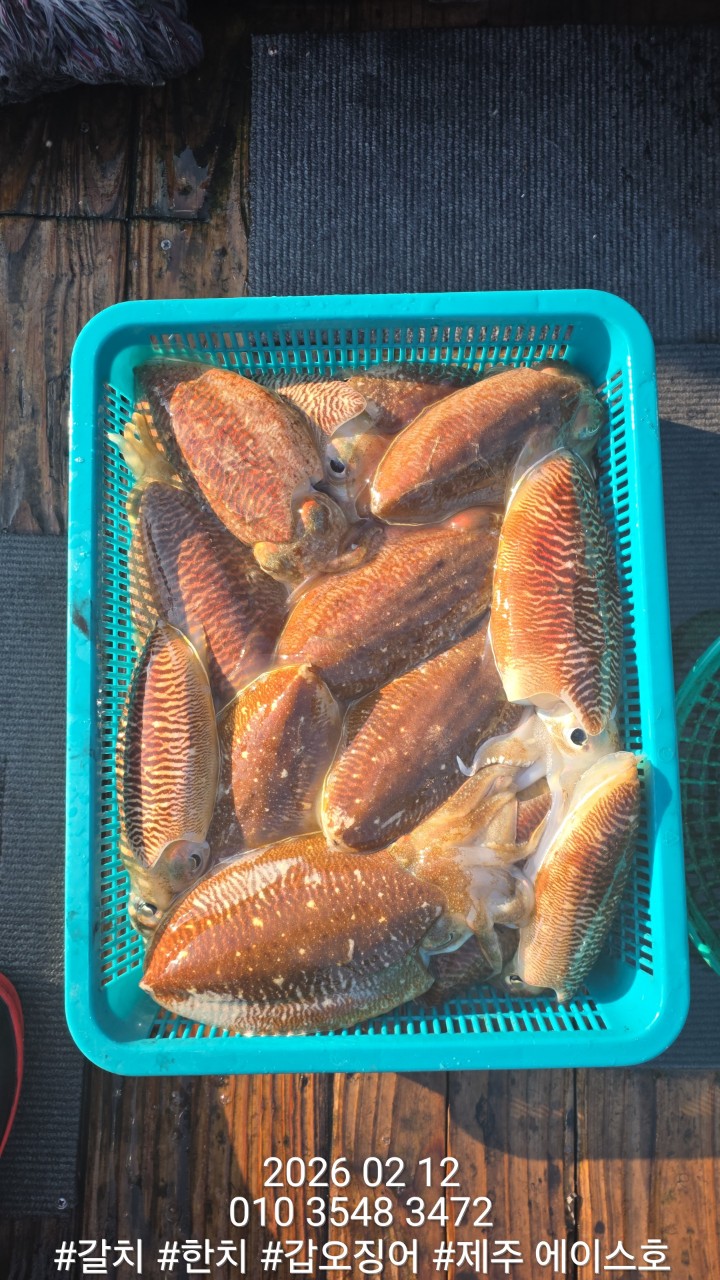 f9b282166b72f1749991c6679df50599_1770951518_6231.jpg f9b282166b72f1749991c6679df50599_1770951518_6231.jpg